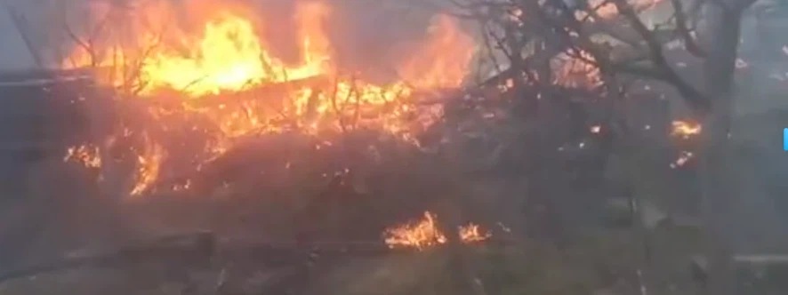 Forest Fires Wreak Havoc in Kashmir Forest Fires Wreak Havoc in Kashmir